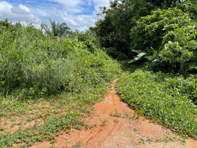 picture LAND 2030 Sq.w. Muang Chiang Rai Chiang Rai for 2.7M - 5/5