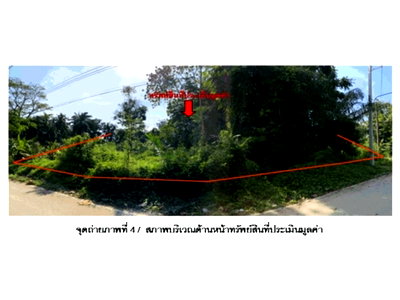 Land for sale Tha Chana Surat Thani : LAND 132.6 Sq.w. Tha Chana Surat Thani for 499,000