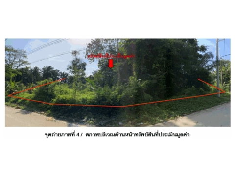 ที่ดิน 132.6 ตร.วา ท่าชนะ สุราษฎร์ธานี 499,000