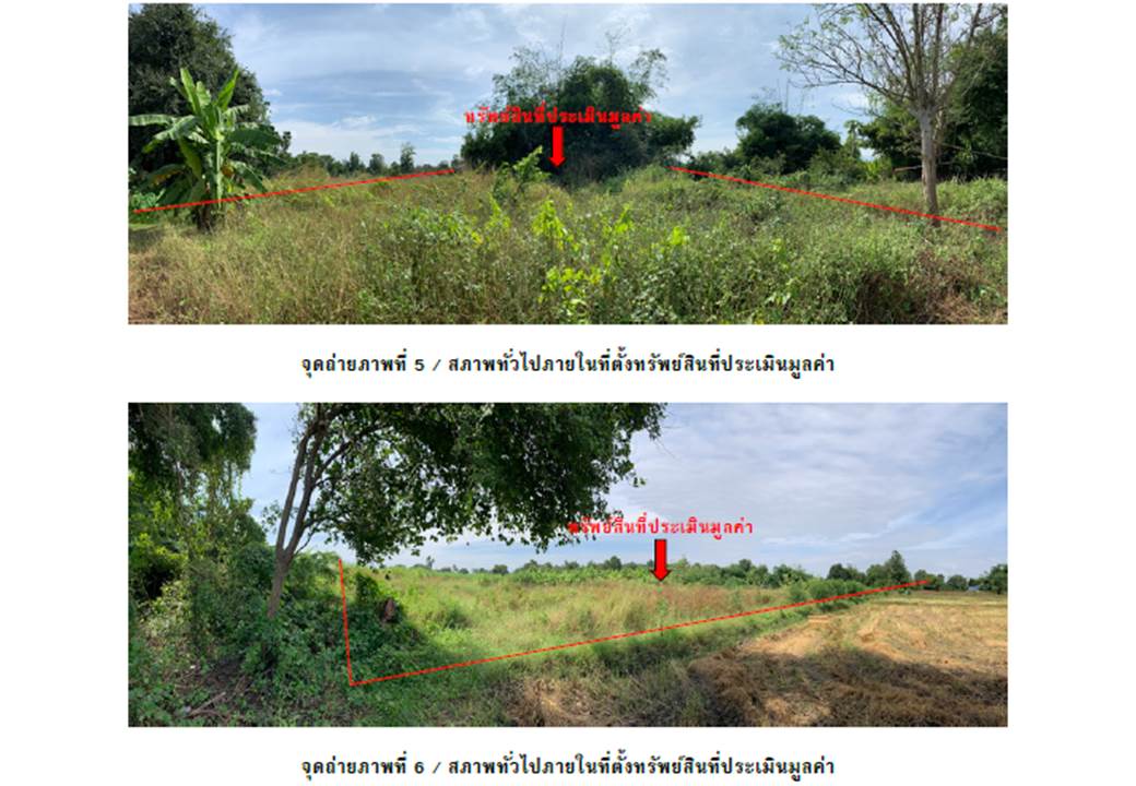 รูป ที่ดินพร้อมสิ่งปลูกสร้าง 4400 ตร.วา สามเงา ตาก 1.7M - รูปที่ 4/6