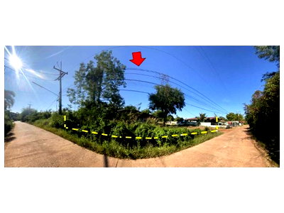 Land for sale Nongkai : LAND 169 Sq.w. Phon Phisai Nongkai for 675,000