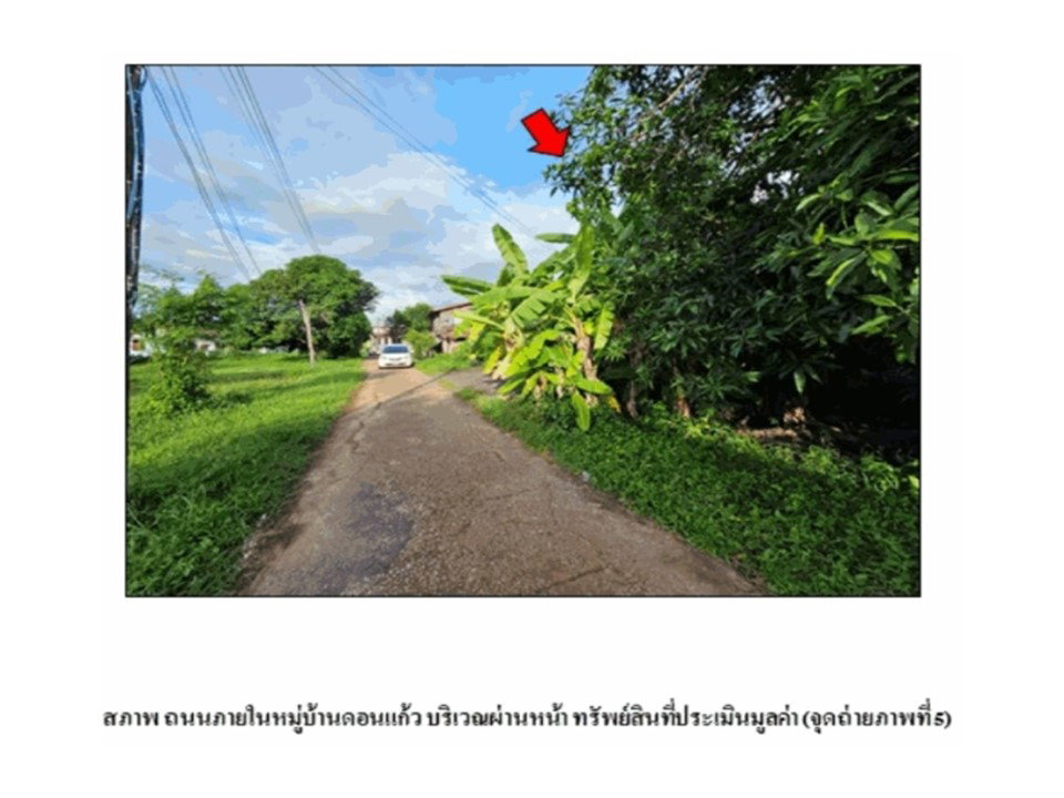 picture LAND 79 Sq.w. Phen Udon Thani for 827,000 - 6/9