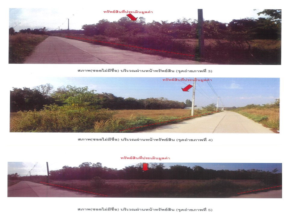 รูป ที่ดิน 485 ตร.วา ภูซาง พะเยา 938,000 - รูปที่ 3/4