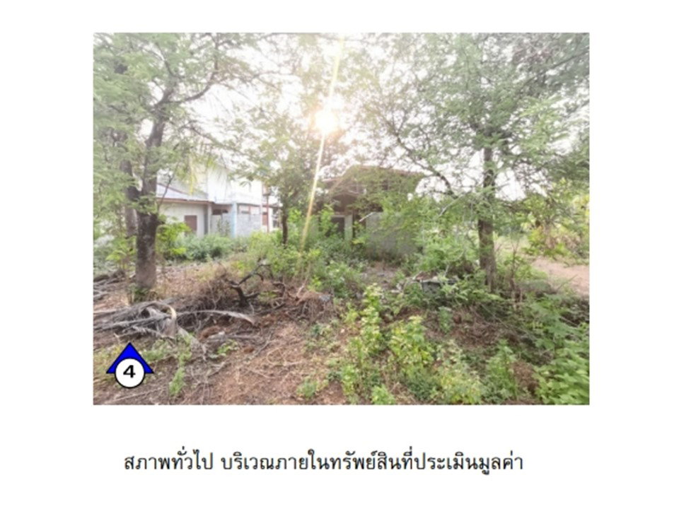 รูป ที่ดินพร้อมสิ่งปลูกสร้าง 188 ตร.วา บ้านม่วง สกลนคร 462,000 - รูปที่ 5/10