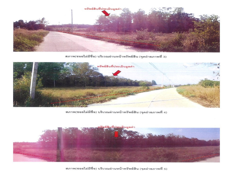 รูป ที่ดิน 485 ตร.วา ภูซาง พะเยา 938,000 - รูปที่ 3/4