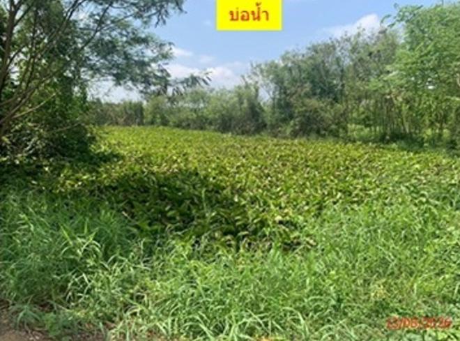 รูป โกดัง 14573 ตร.วา เมืองสุพรรณบุรี สุพรรณบุรี 61.5M - รูปที่ 20/43