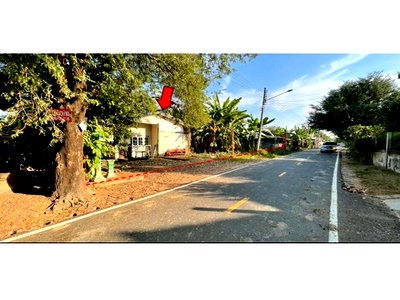 LAND 157 Sq.w. Krasang Buri Ram for 375,000