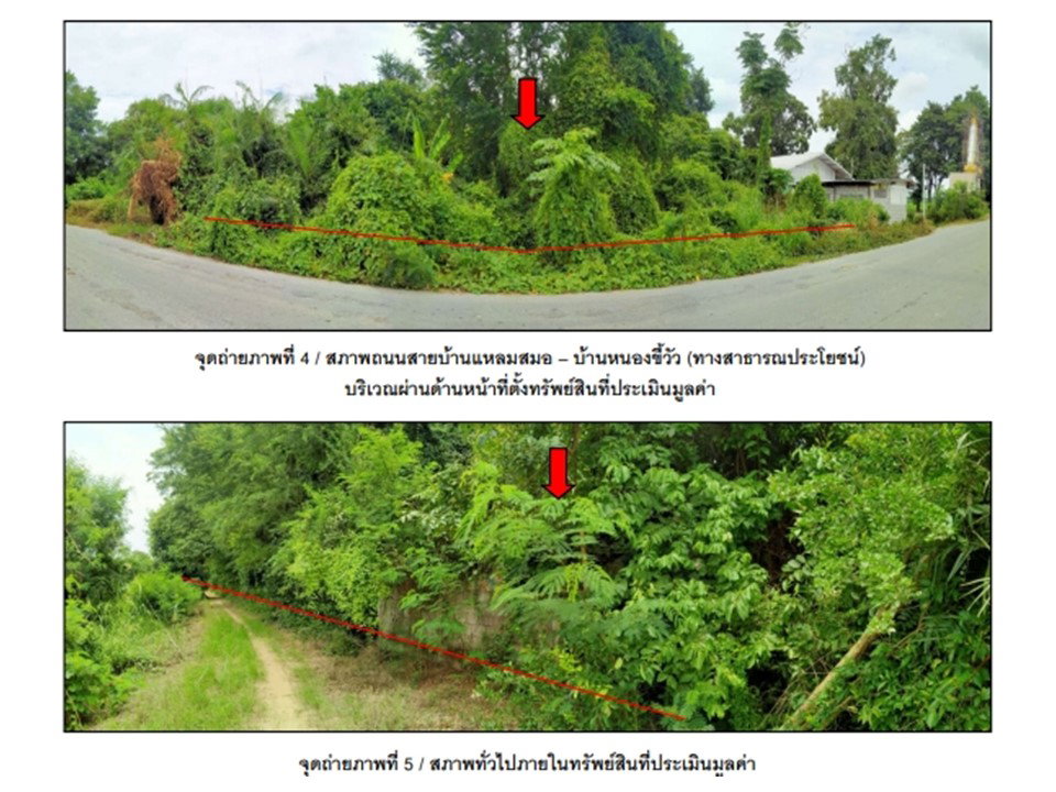 picture LAND 1600 Sq.w. Kao Lieo Nakhon Sawan for 1.6M - 3/3