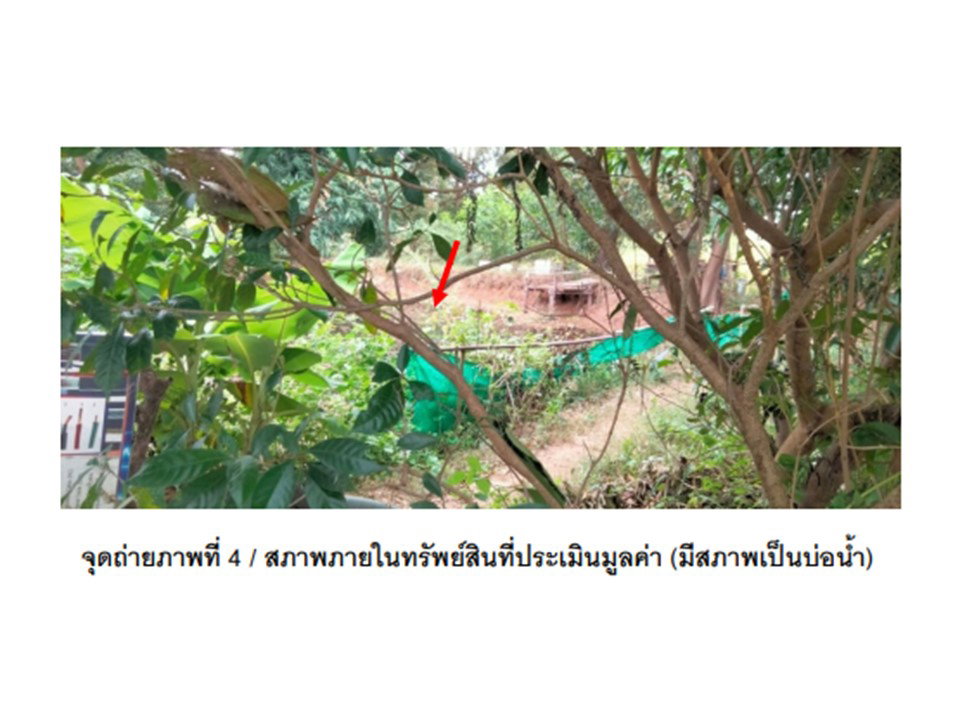 รูป ที่ดินพร้อมสิ่งปลูกสร้าง 279.4 ตร.วา เลิงนกทา ยโสธร 1.4M - รูปที่ 5/7
