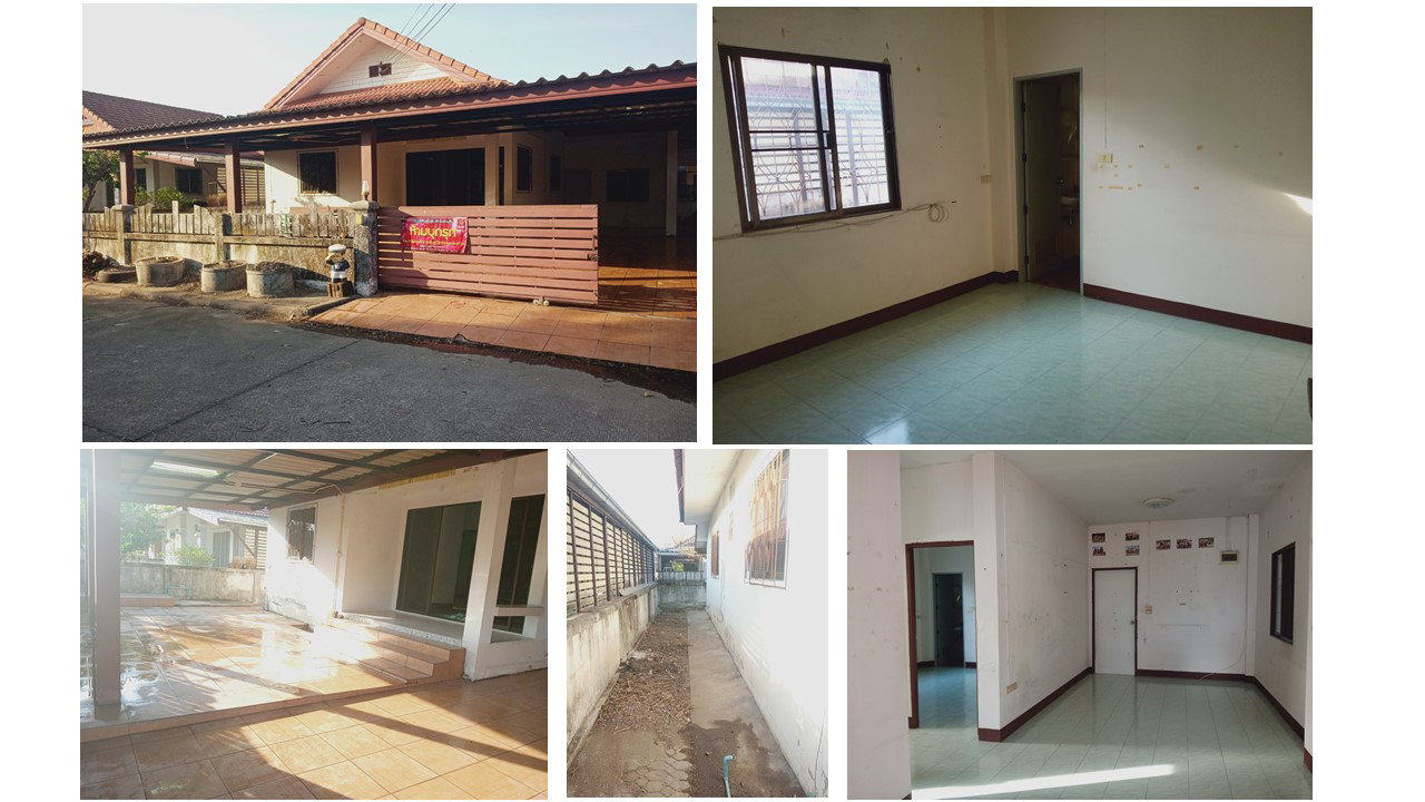 picture LAND 56 Sq.w. Doi Saket Chiang Mai for 1.3M - 6/7