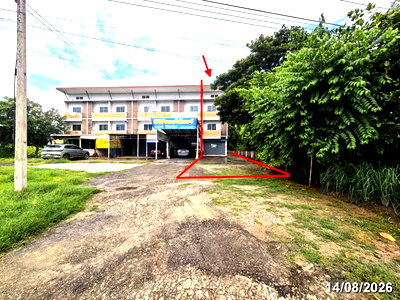 อาคารพาณิชย์ เชียงใหม่ : อาคารพาณิชย์ 195.2 ตร.วา สารภี เชียงใหม่ 6M
