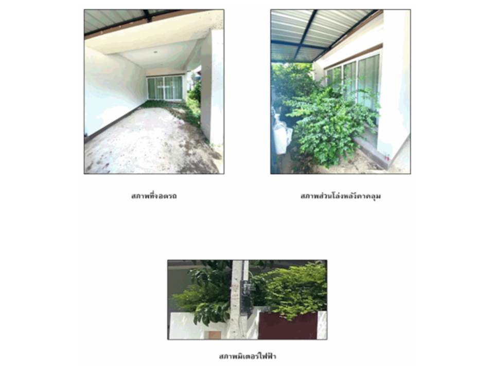 picture LAND 36.9 Sq.w. Wiang Sa Surat Thani for 1.6M - 4/6