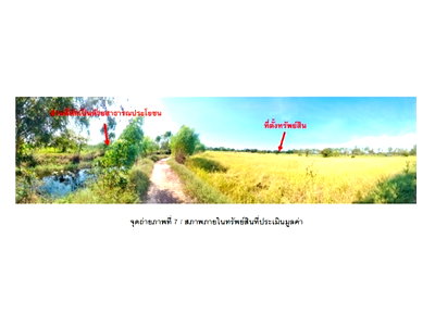 ที่ดิน อำนาจเจริญ : ที่ดิน 2040 ตร.วา หัวตะพาน อำนาจเจริญ 593,000
