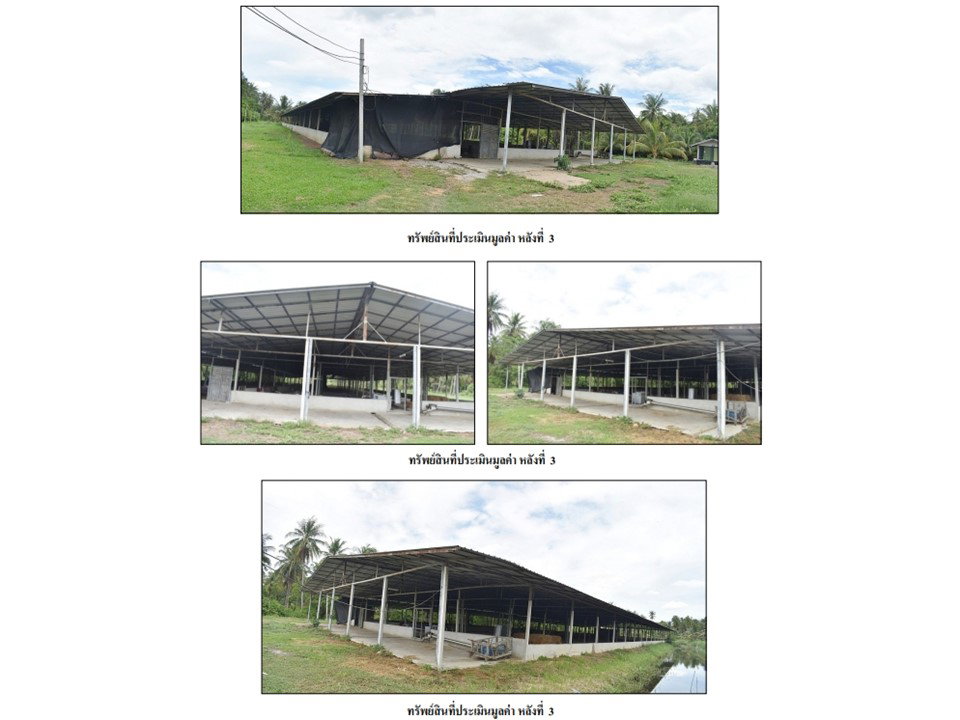 picture LAND 5533.3 Sq.w. Ban Laem Petchburi for 6.5M - 7/9