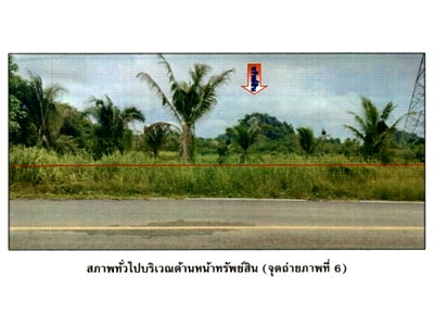 LAND 628.6 Sq.w. Thung Song Nakhon Sri Thammarat for 266,000
