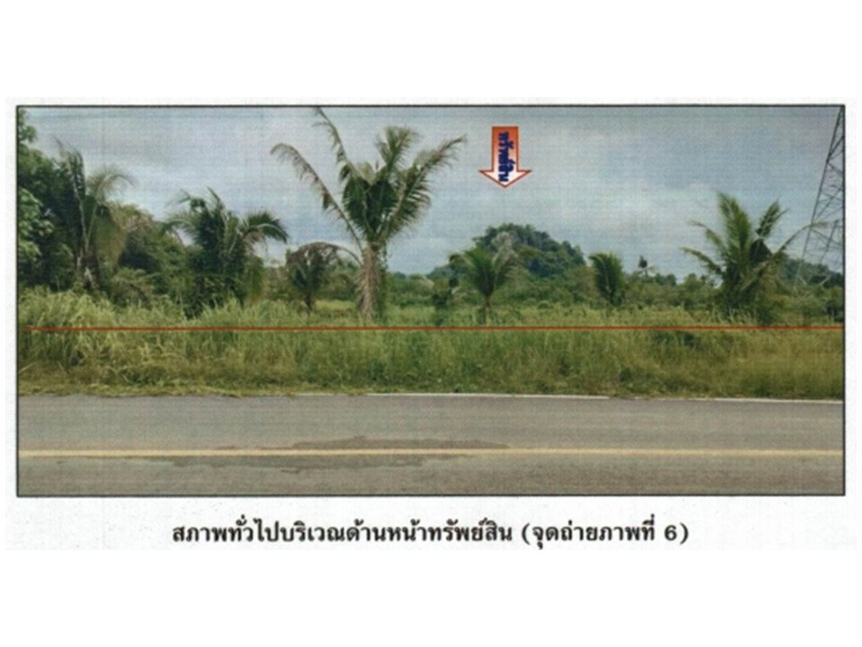 picture LAND 628.6 Sq.w. Thung Song Nakhon Sri Thammarat for 266,000 - 1/4
