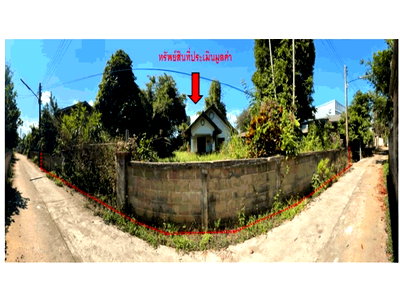 LAND 165 Sq.w. Wiang Pa Pao Chiang Rai for 806,000