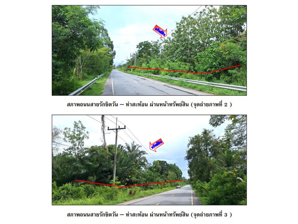 picture LAND 9439 Sq.w. Cha-uat Nakhon Sri Thammarat for 16.5M - 2/4