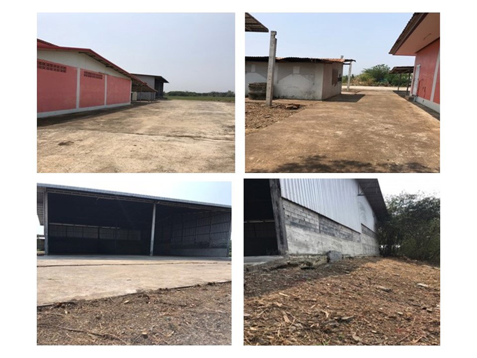 picture HOME 564.7 Sq.w. Muang Phetchabun Phetchabun for 4.2M - 5/9