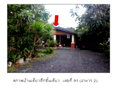 LAND 172.1 Sq.w. Muang Phatthalung Phatthalung for 1.5M