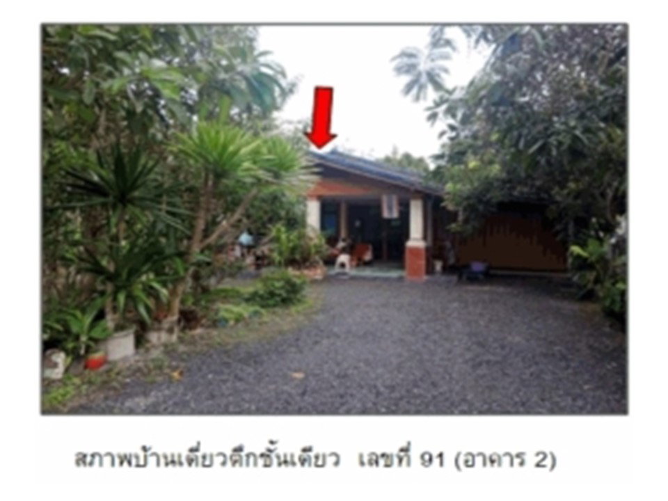 picture LAND 172.1 Sq.w. Muang Phatthalung Phatthalung for 1.5M - 1/4