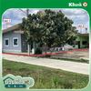 listing thumbnail image 34