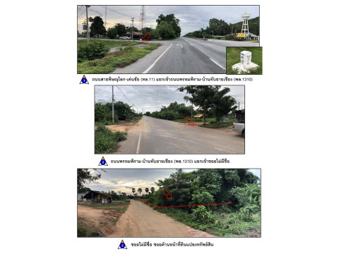 LAND 6295 Sq.w. Phrom Phiram Phitsanulok for 2.8M
