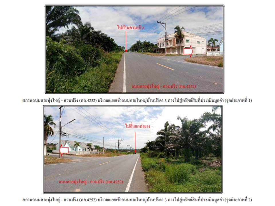 picture LAND 88.7 Sq.w. Thung Yai Nakhon Sri Thammarat for 2.2M - 2/4