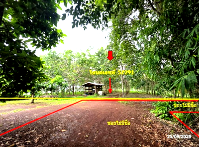 Land for sale Muang Loei Loei : LAND 4695 Sq.w. Muang Loei Loei for 2.6M
