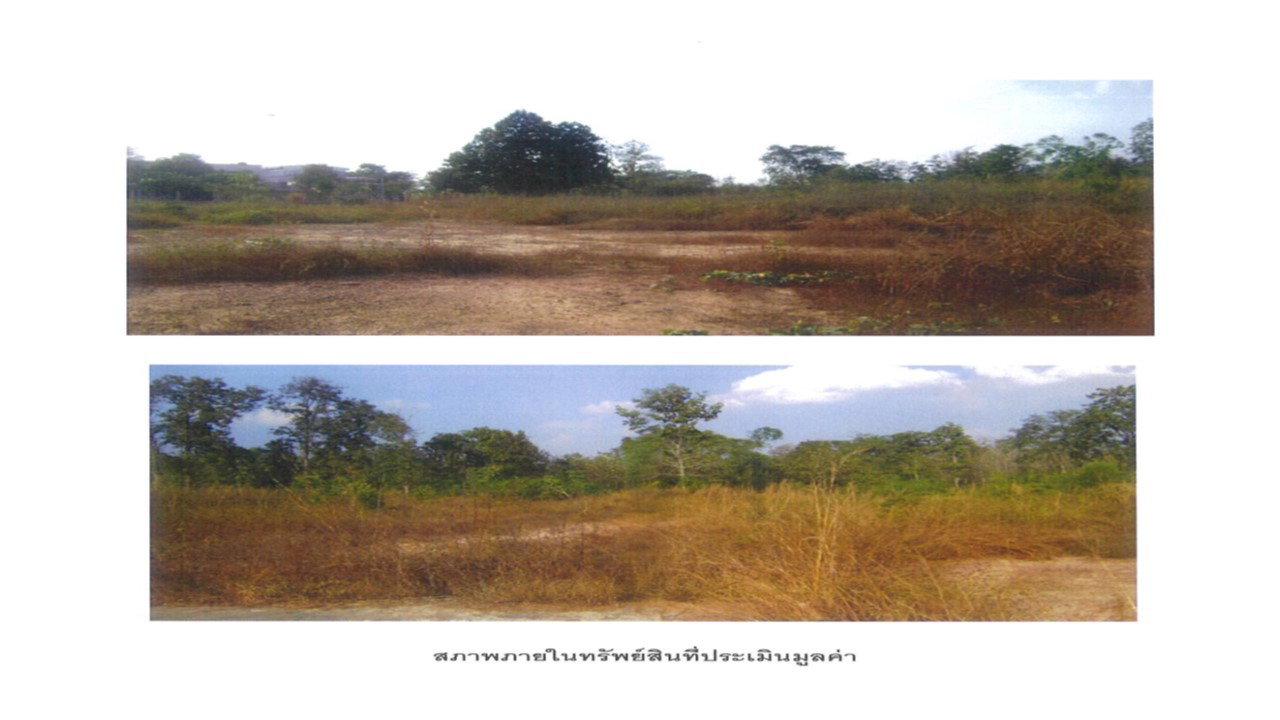 picture LAND 1113.2 Sq.w. Nam Pat Uttaradit for 2.8M - 4/4