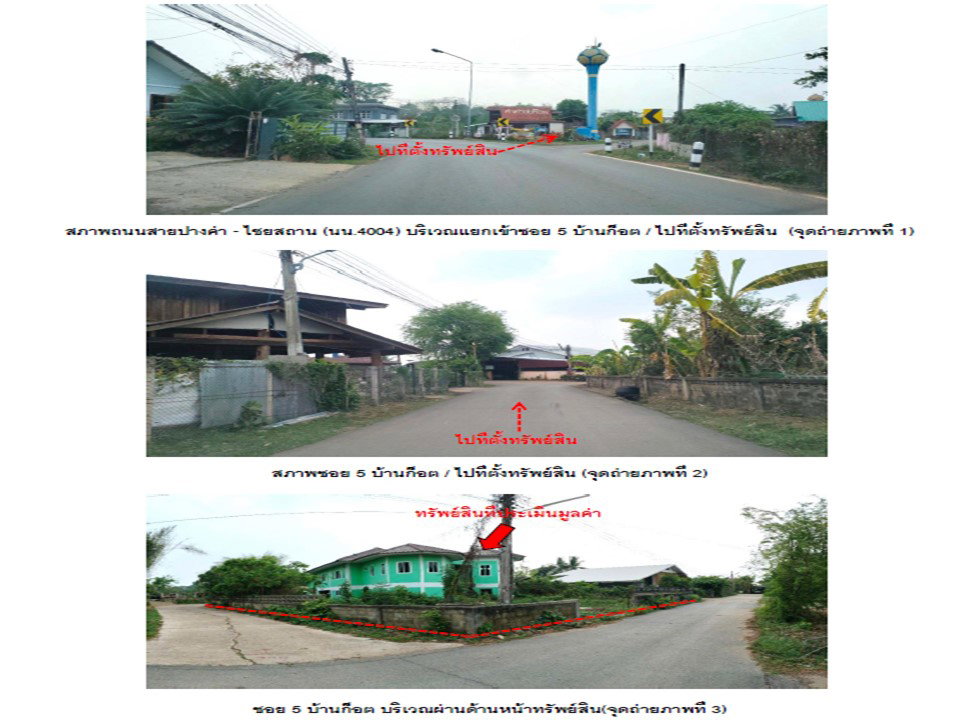 picture LAND 166 Sq.w. Muang Nan Nan for 1.8M - 2/5