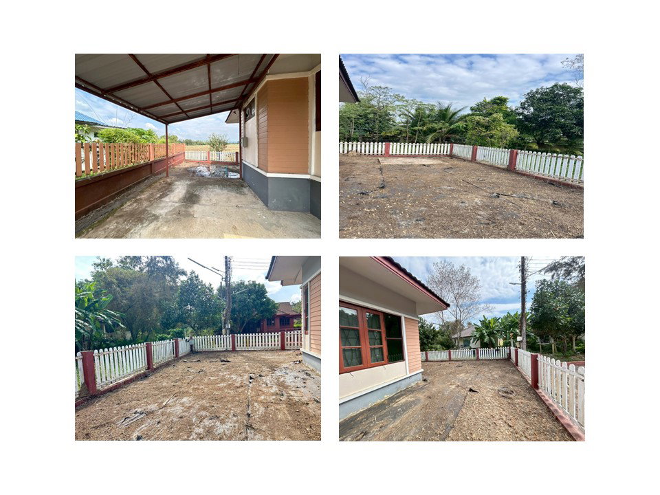 picture LAND 97 Sq.w. Doi Saket Chiang Mai for 2.1M - 6/9