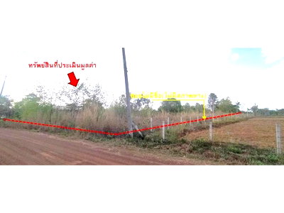 LAND 1700 Sq.w. Sawang Daen Din Sakon Nakhon for 1.3M