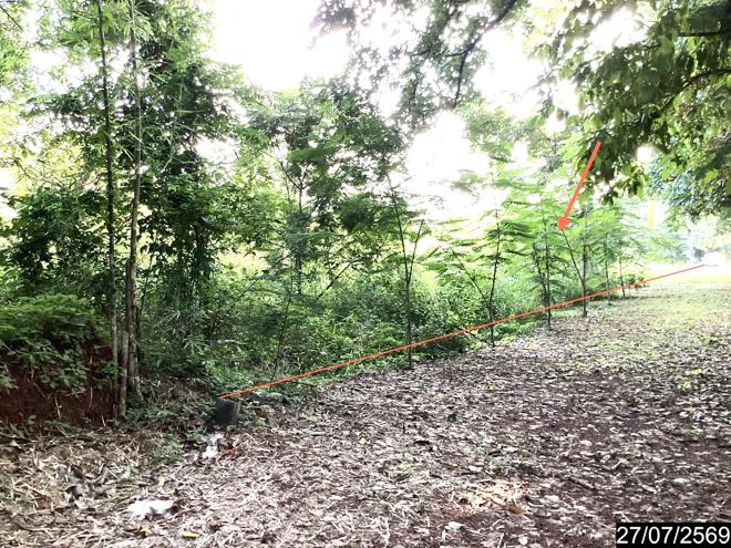 รูป บ้านเดี่ยว 1023 ตร.วา ท่าบ่อ หนองคาย 3.3M - รูปที่ 12/29