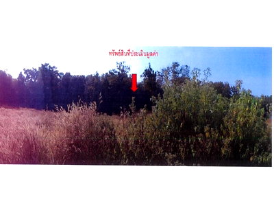 LAND 485 Sq.w. Phu Sang Phayao for 938,000