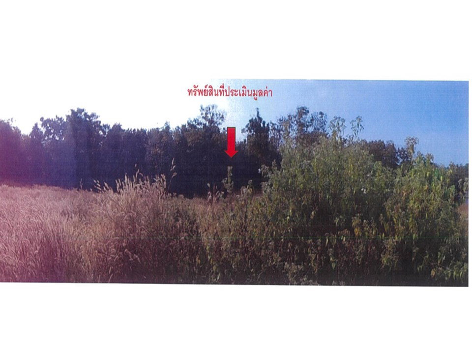 รูป ที่ดิน 485 ตร.วา ภูซาง พะเยา 938,000 - รูปที่ 1/3