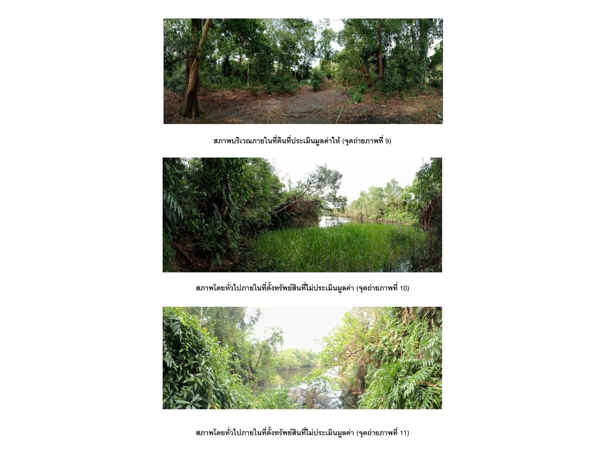 picture LAND 6240 Sq.w. Nong Chik Pattani for 1.7M - 5/5