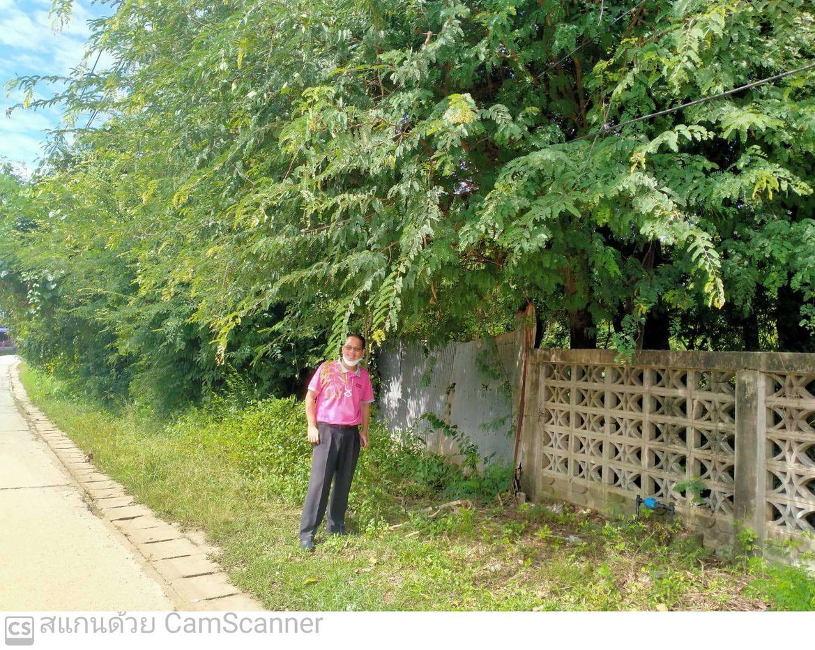 picture LAND 1087 Sq.w. Thoen Lamphang for 2.2M - 5/6