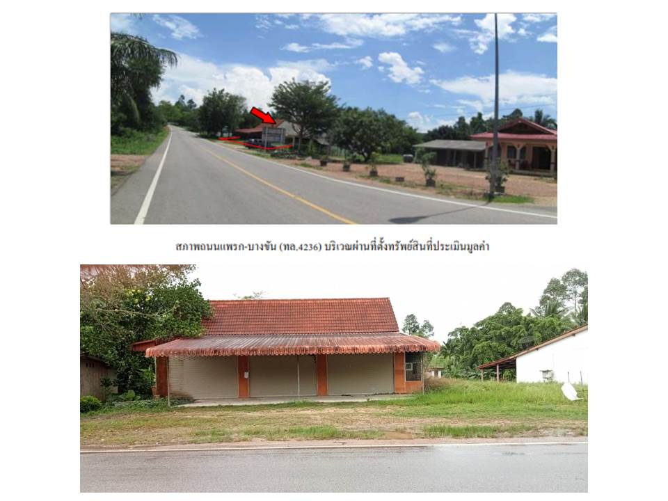 picture LAND 445.7 Sq.w. Huai Yot Trang for 2.5M - 3/6