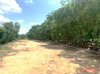 listing thumbnail image 36