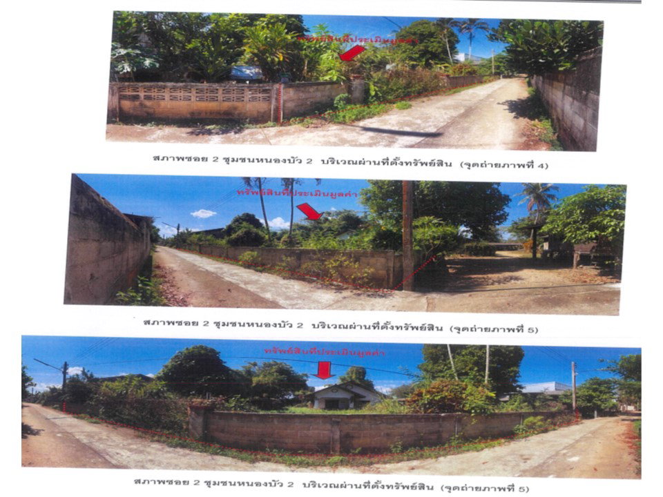 รูป ที่ดินพร้อมสิ่งปลูกสร้าง 165 ตร.วา ชุมชนหนองบัว เวียงป่าเป้า เชียงราย 806,000 - รูปที่ 5/6