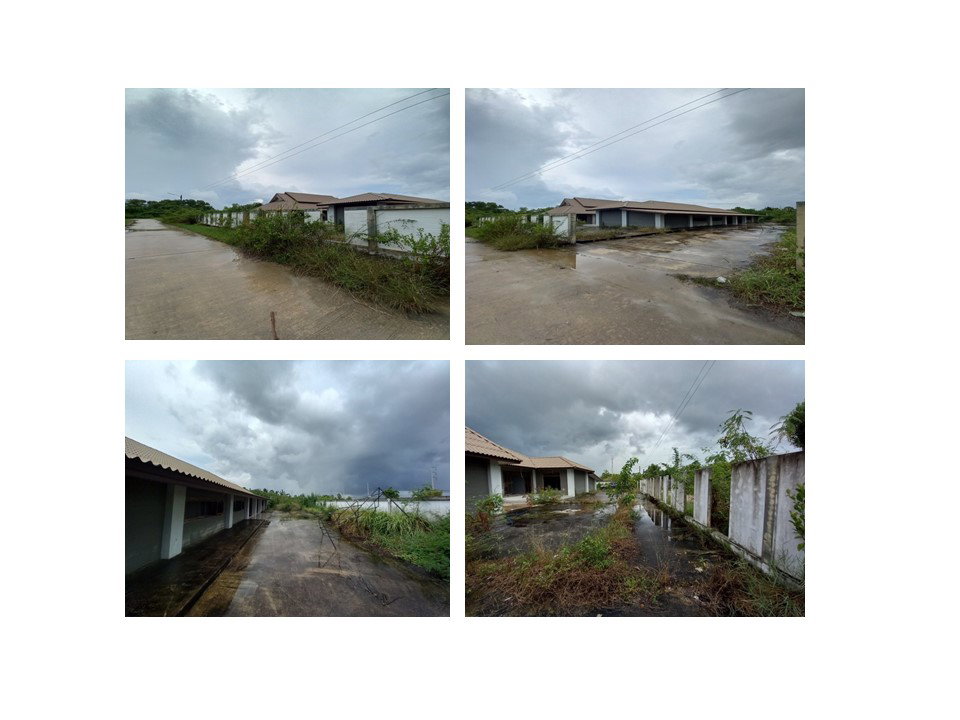 รูป ที่ดินพร้อมสิ่งปลูกสร้าง 292.9 ตร.วา หัวไทร นครศรีธรรมราช 2.7M - รูปที่ 2/4