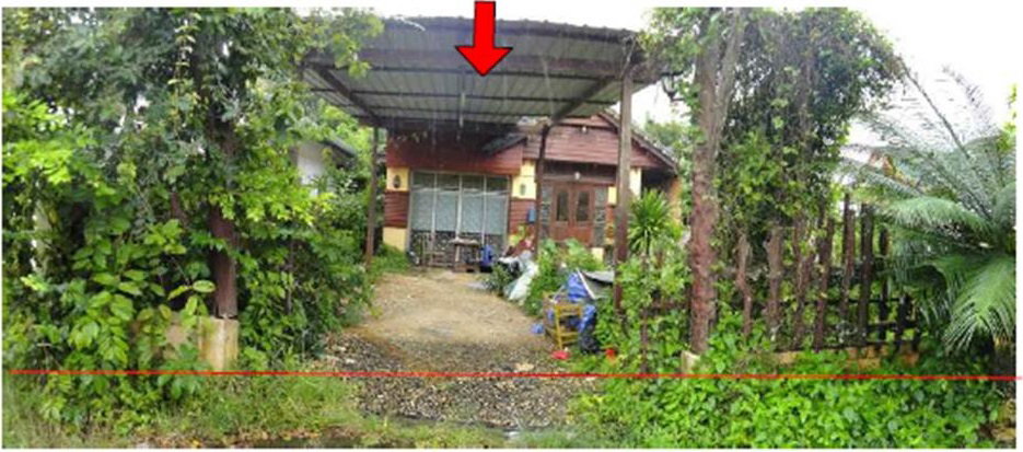 picture LAND 74.1 Sq.w. Muang Trang Trang for 1.9M - 1/5