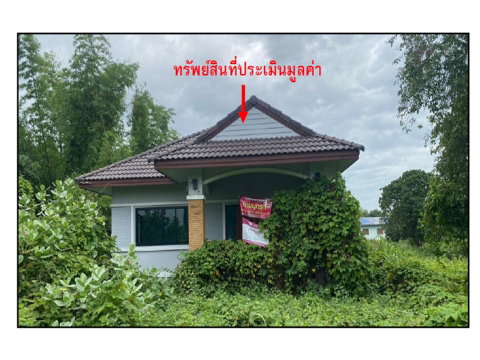 LAND 221.5 Sq.w. Khanu Woralaksaburi Kamphaeng Phet for 1.8M