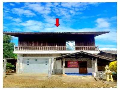 Houses for sale Phanom Surat Thani : HOME 65 Sq.w. Phanom Surat Thani for 396,000