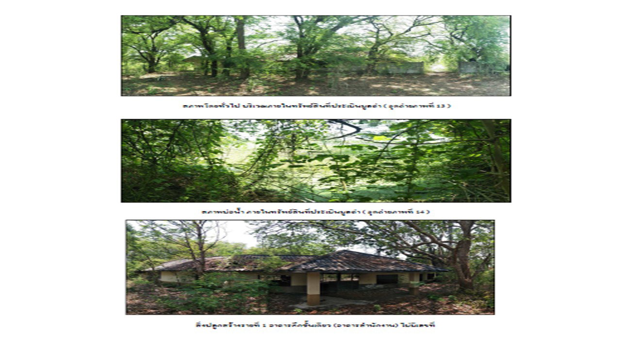 picture OFFICE 4800.7 Sq.w. Thoen Lamphang for 11.5M - 6/10