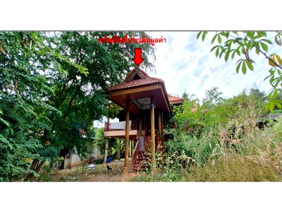 บ้านเดี่ยว คำชะอี มุกดาหาร : ที่ดินพร้อมสิ่งปลูกสร้าง 271 ตร.วา คำชะอี มุกดาหาร 1.2M