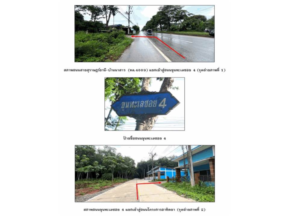 รูป ที่ดินพร้อมสิ่งปลูกสร้าง 21.4 ตร.วา อาทิตยา เมืองสุราษฎร์ธานี สุราษฎร์ธานี 825,000 - รูปที่ 2/4
