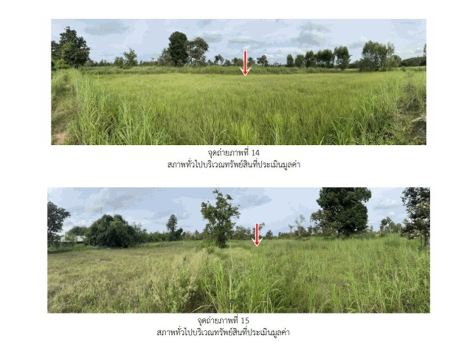 picture LAND 6917 Sq.w. Si Muang Mai Ubon Ratchathani for 1.7M - 9/10