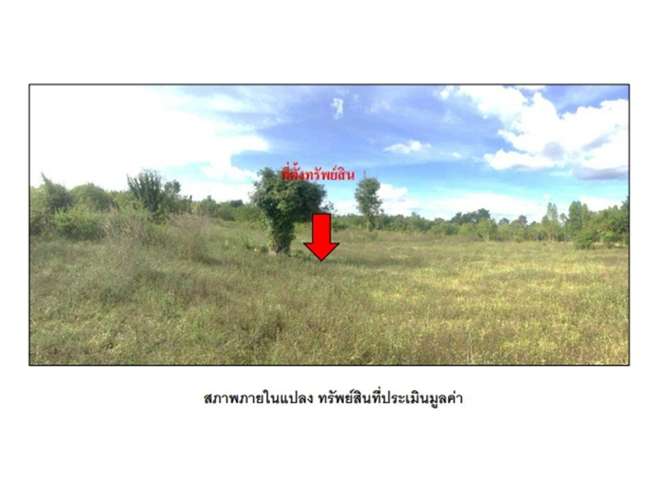 picture LAND 1980.1 Sq.w. Phanom Dong Rak Surin for 763,000 - 8/9